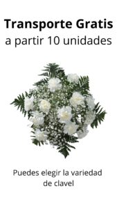 Bouquet 12 claveles