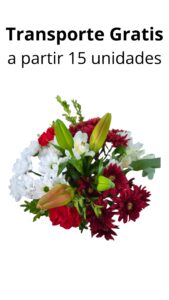 Bouquet 12 tallos rojo