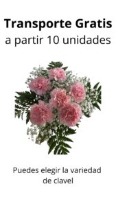Bouquet 6 claveles