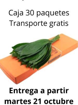 Caja 30p aspidistra 70 cm