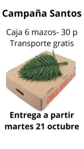 Caja 30 paquete chico jumbo