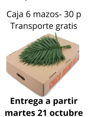 Caja 30 paquete chico jumbo