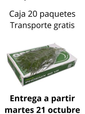 Caja 20 paquete robellini 60 cm