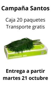 Caja 20 paquetes robellini 80 cm