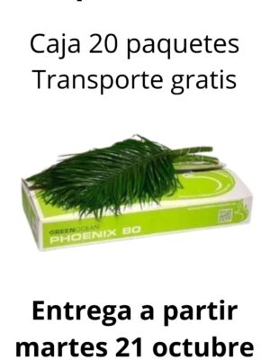 Caja 20 paquetes robellini 80 cm