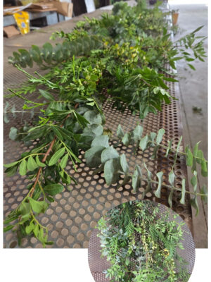 Guirnaldas verdes mitxtos (eucalipto, lentisco,