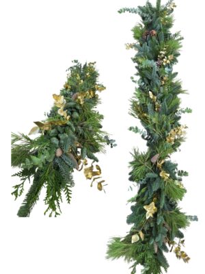 Guirnalda navidad dorada (nobilis, eucalipto