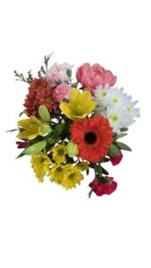 Bouquets 12 tallos paeonía