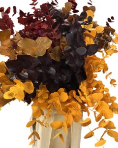 Eucalipto mix otoño 300 gr